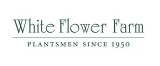 White Flower Farm Flower Delivery