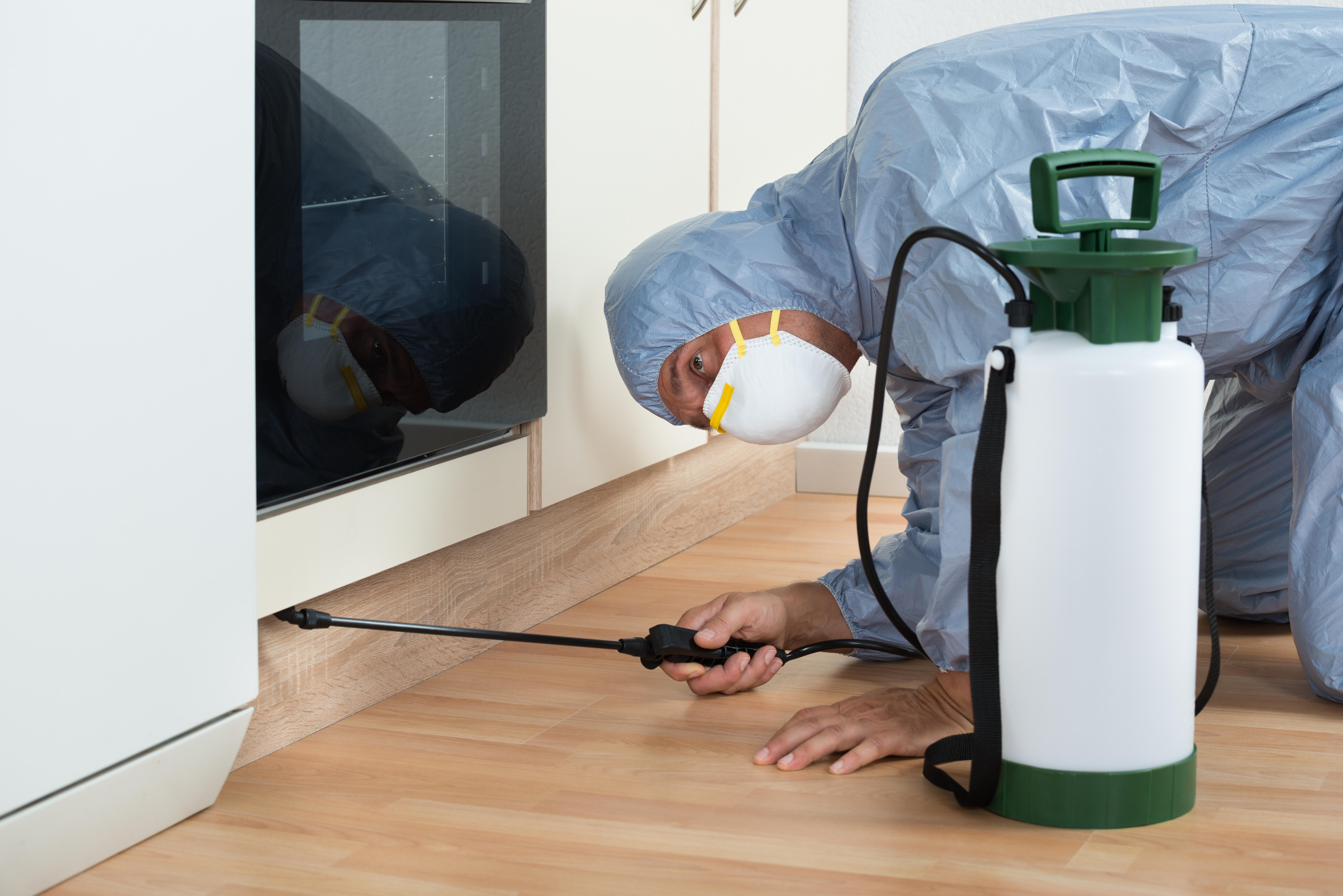 Selecting a Pest Control Service | 9 Tips You Should Know