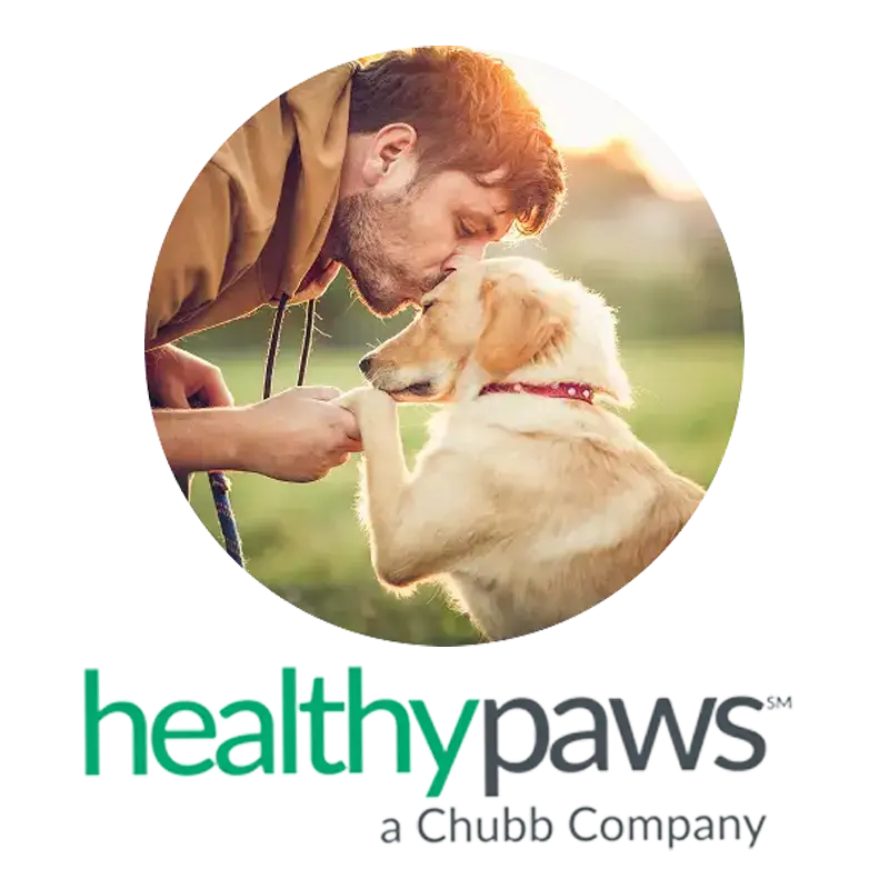 Healthy Paws Pet Insurance
