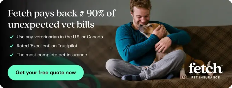 Fetch Pet Insurance Quote