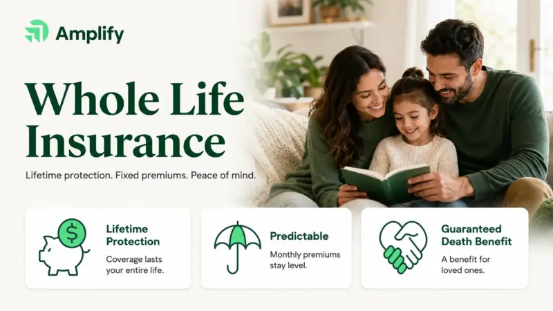 Amplify whole life insurance