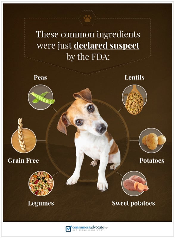 fda list of bad dog food